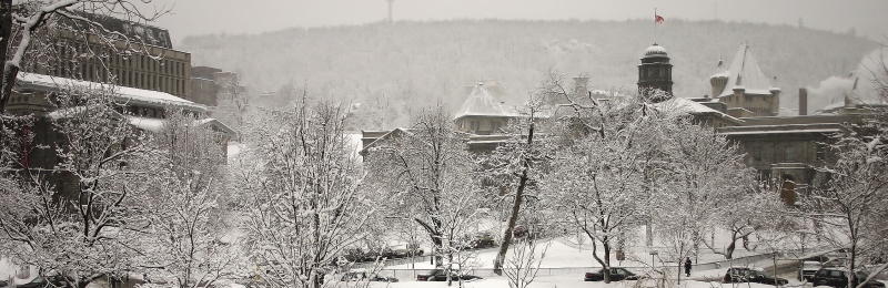 McGill Campus in Winter