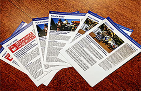 Collection of ISID policy briefs