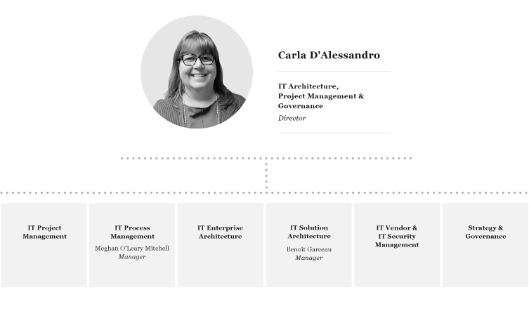 Mcgill Organizational Chart