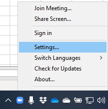 Zoom menu with Settings option selected