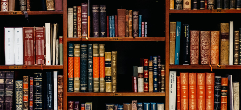 Wooden bookshelf