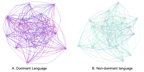 Colour-coded network graphs