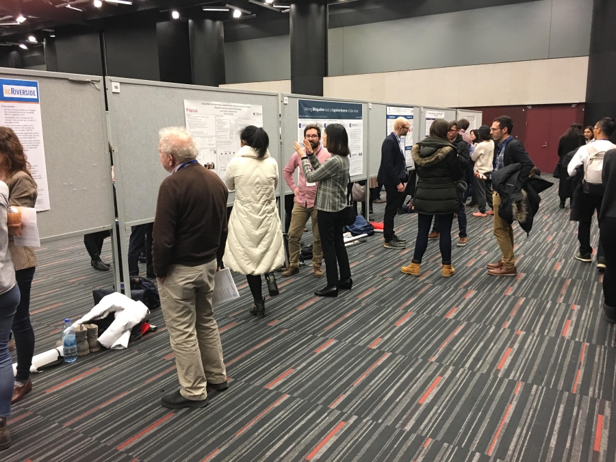 People reading research posters.