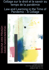 Couverture de la collection "Collage sur le droit et le savoir en temps de pandémie  Shauna Van Praagh, David Sandomierski (Eds)" [peinture abstraite avec aires de bleu, jaune et rose]