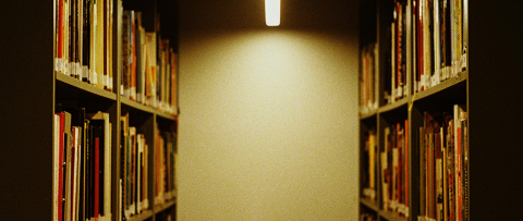 Dimly lit bookshelves.