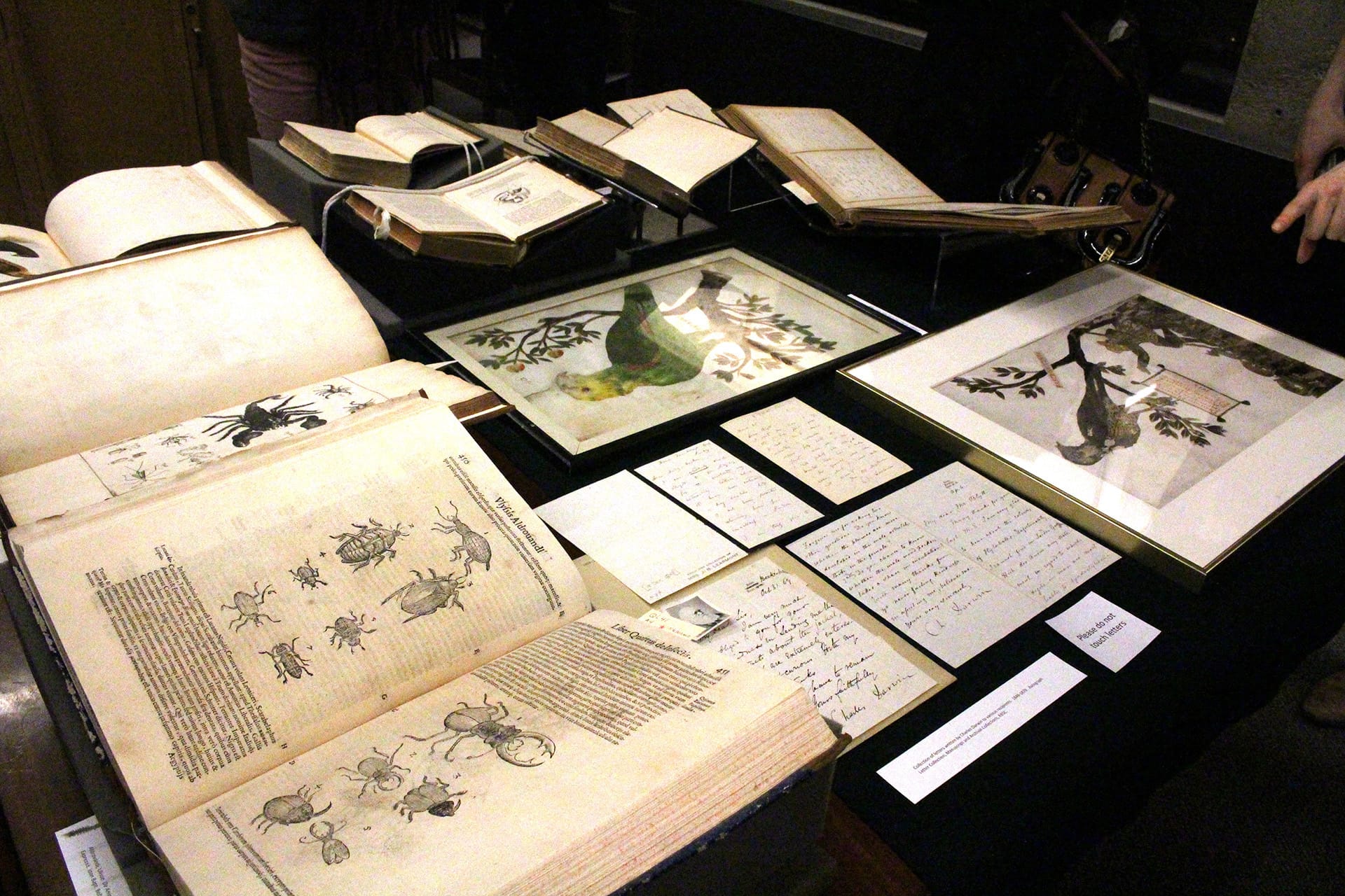 Rare natural history books laid out on display on a large table