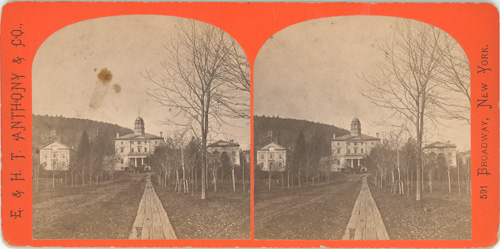 E. &amp; H.T. Anthony, View of McGill, 1875