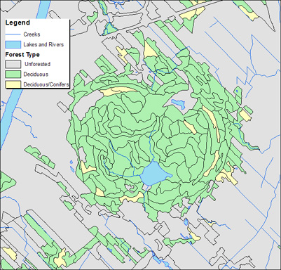 Mount St-Hillaire, Forest Stand Types
