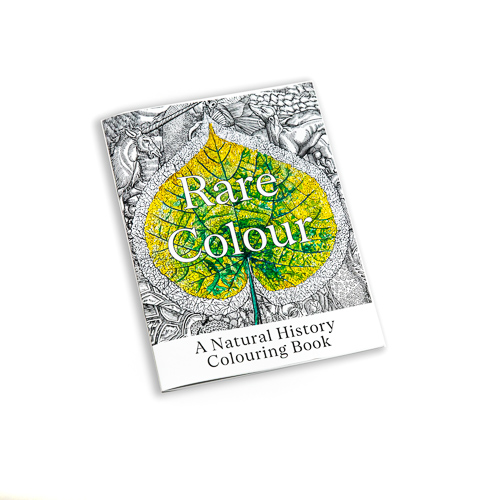 rare colour: a natural History colouring book