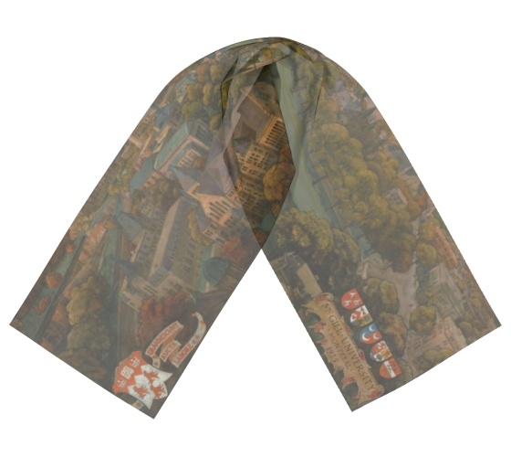 scarf with an image of Nobbs' Bird's Eye view of Campus