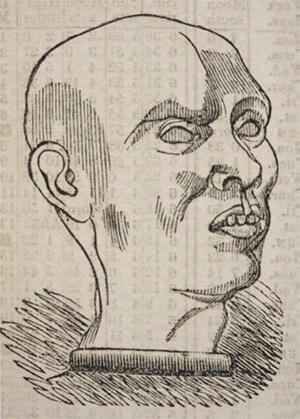 “Johnson the Murderer,” from The Phrenological Almanac for 1841, by L.N. Fowler.