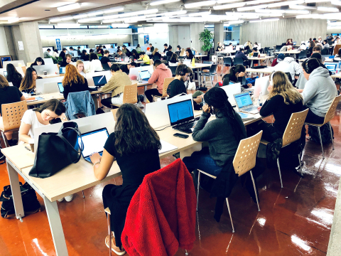 Students studying in the Library at tables.