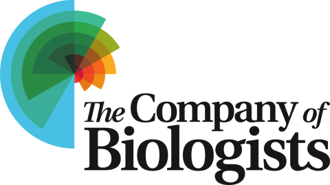 The Company of Biologists featuring black text in different fonts and a rainbow coloured abstract graphic