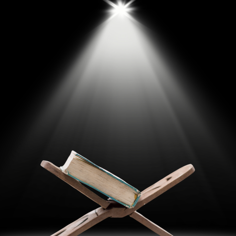 spotlight on a book on a bookstand