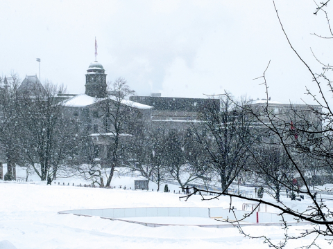 Snowy scene featuring McGill Arts Building and lower field.