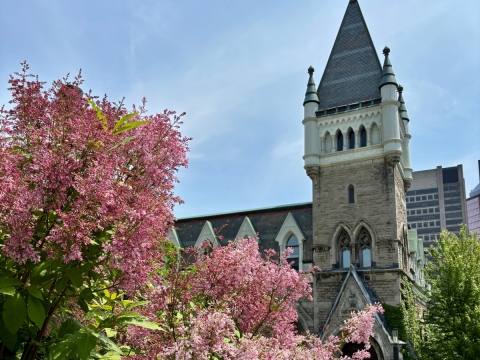 Exterior of Islamic Studies Library with purple flowers in foreground.