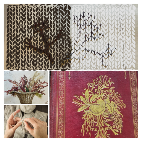 ocean flowers, a books of seaweed specimens, and knitting pattern elements