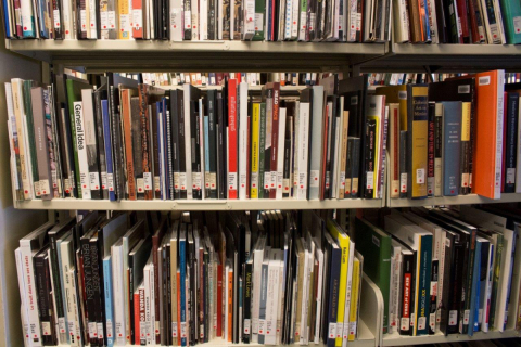 Books on shelves in the McLennan Library Building