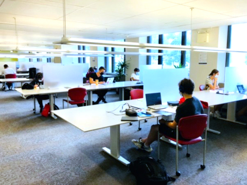 Students studying in the Cybertheque.