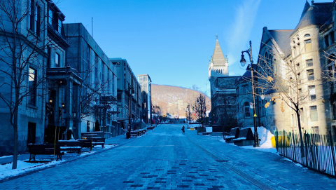 View up McTavish with snow and bare trees on Mont Royal.