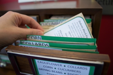 Hand picking out seed packet from card catalogue
