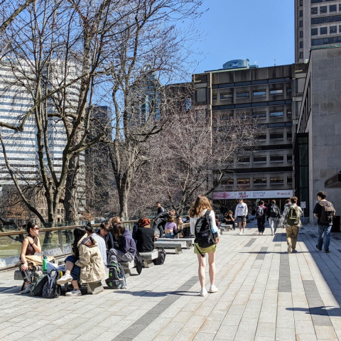 Students studying on the McLennan-Redpath Terrace benches in the springtime.