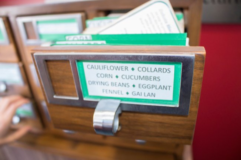 Close-up of card catalogue drawer filled with seed packets.