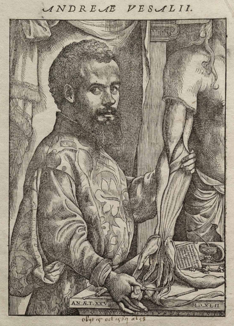 Vesalius' Fabric of the Human Body Vesalius' Fabric of the Human Body