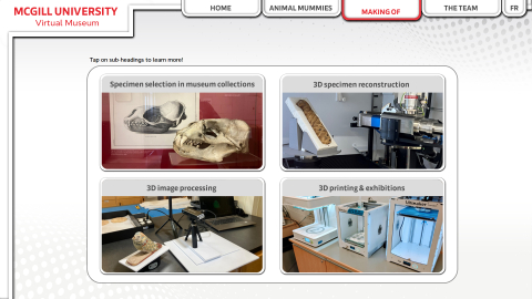 McGill Virtual Museum touch table experience "Making Of" section featuring images of skeletal specimens, 3D image processing and 3D printers.