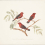 Red Munia. Watercolour on paper. 1901-1807, Madras.