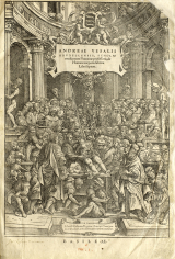 Frontispiece of Vesalius's De humani corporis fabrica, showing a busy dissection scene.