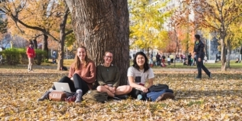 Photographie de trois étudiant.e.s assis.e.s sous un arbre en automne