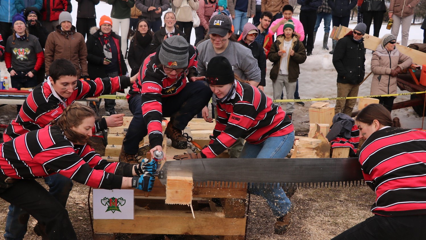 McGill woodswomen team work together to saw a log at competition