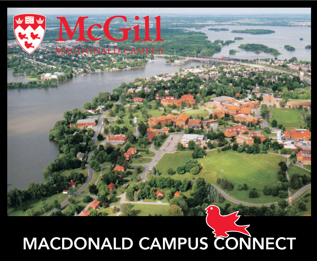 mcgill macdonald campus tour