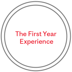 The first year experience