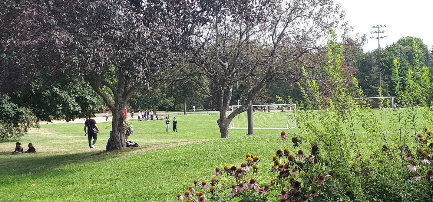 Summer on Macdonald Campus with the soccer nets in view