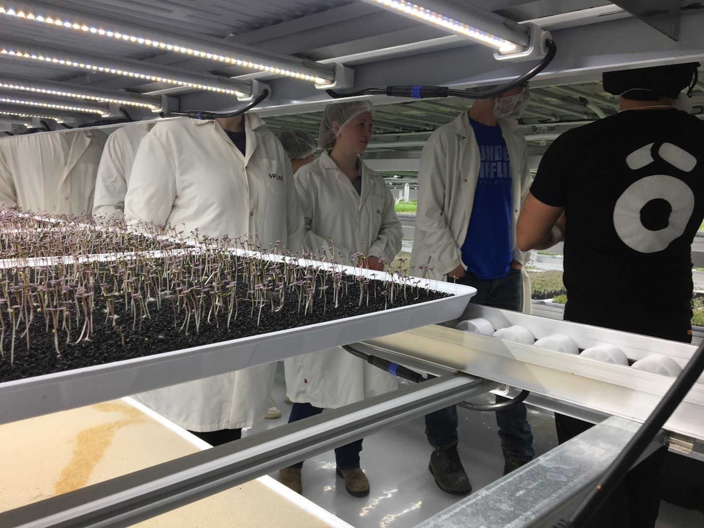 Students stand near trays of growing microgreens at a commercial facility