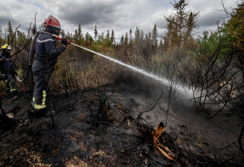 A firefighter hoses the smoldering moss carpeting the floor of the old-growth Boreal forest in Quebec, Canada.