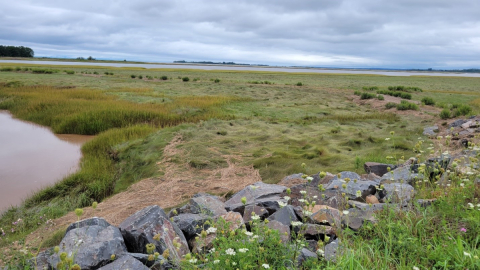 The tidal wetland-dykeland landscape of the iconic Bay of Fundy, as seen from Wolfville, Nova Scotia