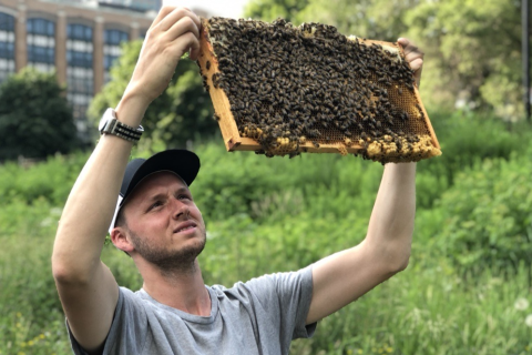 Evan Henry holds up and inspects a frame of bees outside