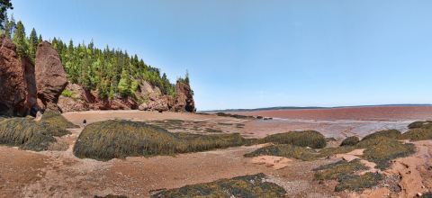 A portion of beach on the Bay of Fundy with rock formations