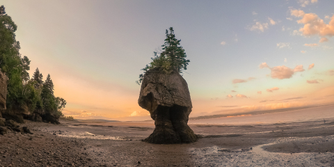 Hopewell rocks in the Bay of Fundy at golden hour