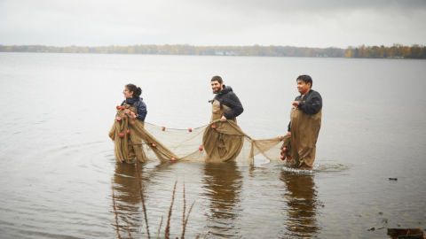 Three students stand in Lac St Louis on a rainy day, wearing waders and holding a net 