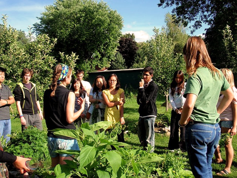 MSEG members gathered in the community garden