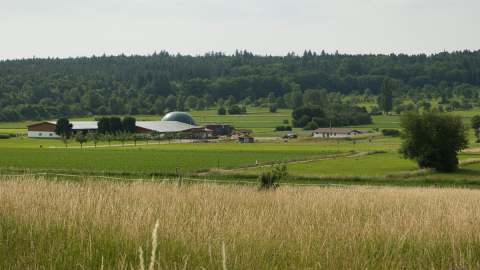 A farm with a biogas facility