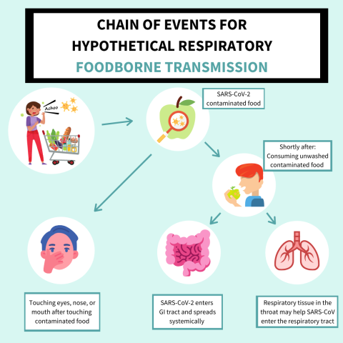 Chain of events for hypothetical respiratory foodborne transmission of virus