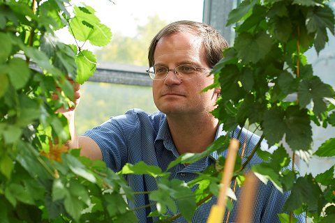 Faculty research focuses on agriculture, sustainability, nutrition, health and the environment.