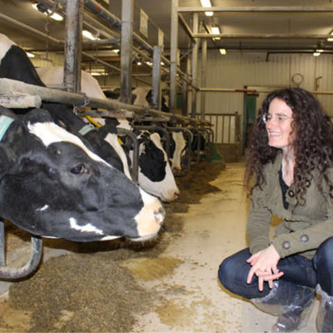Professor Elsa Vasseur smiles at a cow in the Mac Campus dairy.