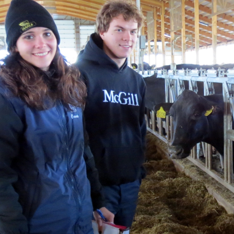 Two McGill FMT students pose in a dairy barn.