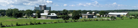 A wideshot showing the Mac campus farm on a sunny day.